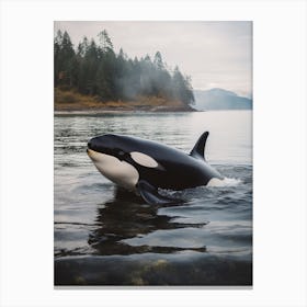 Misty Orca Whale With Forest Background Canvas Print