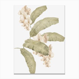 White Flowers Canvas Print