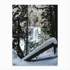 Oregon Hidden Winter Waterfall Canvas Print