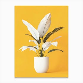 White Plant In A Pot 1 Canvas Print