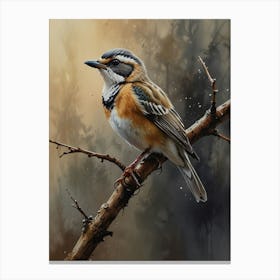 Bird On A Branch 1 Canvas Print