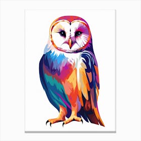 Colourful Geometric Bird Barn Owl 1 Canvas Print