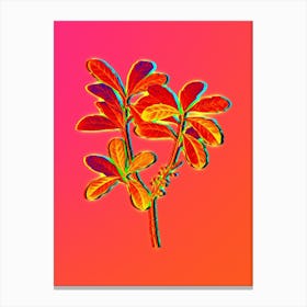Neon Northern Bayberry Botanical in Hot Pink and Electric Blue n.0446 Canvas Print