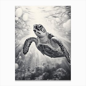 Black And White Illuminated Sea Turtle Canvas Print