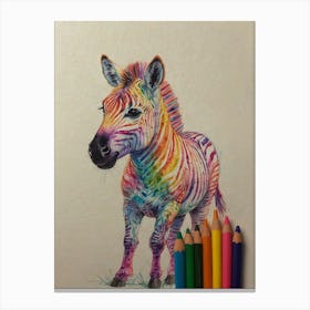 Rainbow Zebra 5 Canvas Print