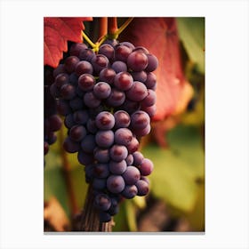 Grapes On The Vine Canvas Print