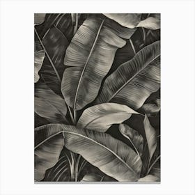 Banana Leaves 21 Canvas Print