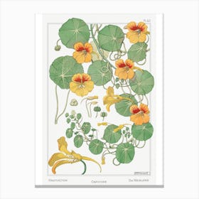 Art Nouveau Flowers Art Print Canvas Print
