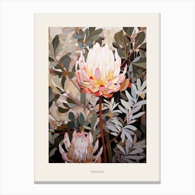 Flower Illustration Protea 5 Poster Canvas Print