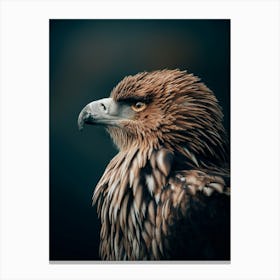 Golden eagle Canvas Print