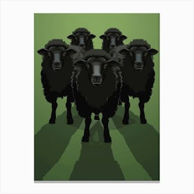 Black Sheep 3 Canvas Print