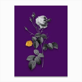 Vintage Provence Rose Black and White Gold Leaf Floral Art on Deep Violet n.0897 Canvas Print