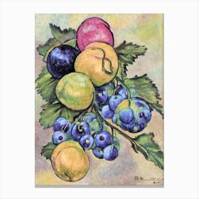 Gooseberry Vintage Sketch Fruit Canvas Print