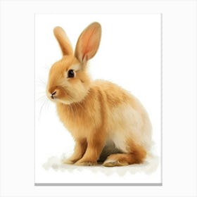Chinchilla Rabbit Nursery Illustration 4 Canvas Print