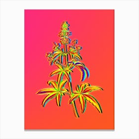 Neon Chaste Tree Botanical in Hot Pink and Electric Blue n.0020 Canvas Print