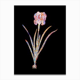 Stained Glass Mourning Iris Mosaic Botanical Illustration on Black Canvas Print