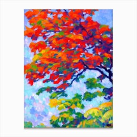 Western Red Cedar tree Abstract Block Colour Canvas Print
