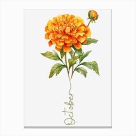 October Birth Flower Birth Month Botanical 1 Canvas Print