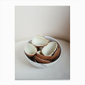 Egg Shells In A Bowl 1 Canvas Print