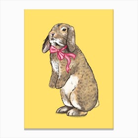 Fancy Bunny Canvas Print