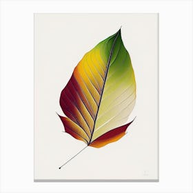 Sycamore Leaf Abstract 5 Canvas Print