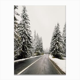 Snowy Winter Highway Canvas Print