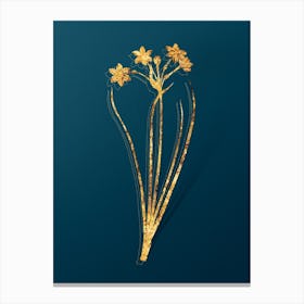 Vintage Rush Daffodil Botanical in Gold on Teal Blue n.0130 Canvas Print