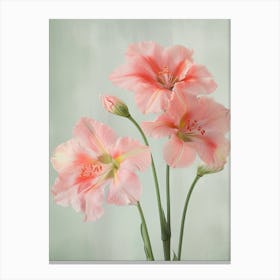 Amaryllis Flowers Acrylic Pastel Colours 2 Canvas Print