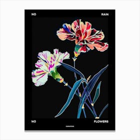 No Rain No Flowers Poster Carnation Dianthus 1 Canvas Print