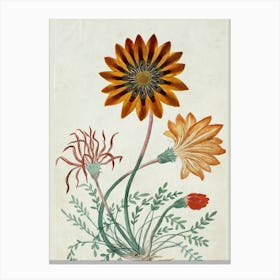 Daisy Canvas Print