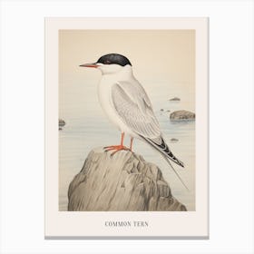 Vintage Bird Drawing Common Tern 1 Poster Canvas Print