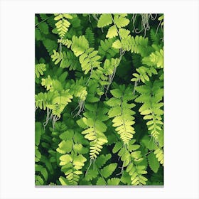 Pattern Poster Southern Maidenhair Fern 3 Canvas Print