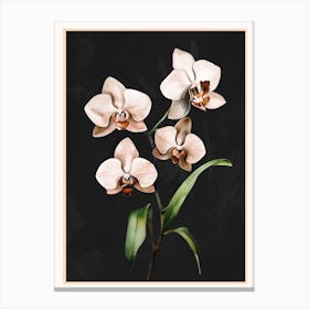 White Orchid Floral Art 1 Canvas Print