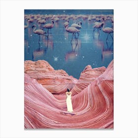 Flamingos Sky Canvas Print