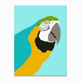 Tropical bird 1 Canvas Print