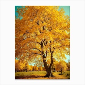 Autumn Tree 6 Canvas Print