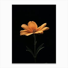 Single Orange Flower On Black Background 10 Canvas Print