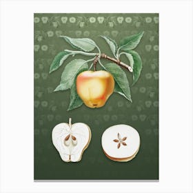 Vintage Carla Apple Botanical on Lunar Green Pattern n.0805 Canvas Print