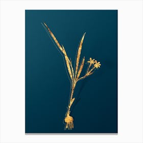 Vintage Gladiolus Inclinatus Botanical in Gold on Teal Blue n.0206 Canvas Print