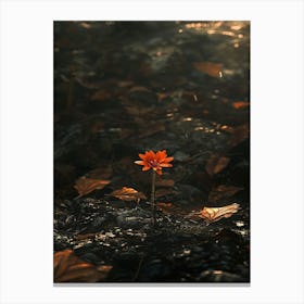 Flower In The Water 9 Canvas Print