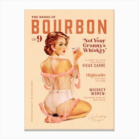 Babes Of Bourbon Vol 9 Not Your Grannys Whiskey Canvas Print