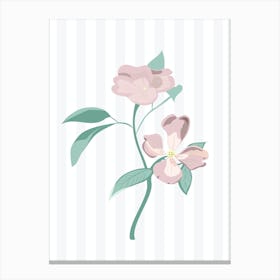 Pink Flowers Canvas Print