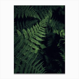 Fy! Foliage Canvas Print