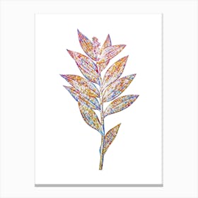 Stained Glass Smilacina Stellata Mosaic Botanical Illustration on White n.0144 Canvas Print