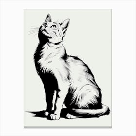 Cat Drawing 3 Canvas Print