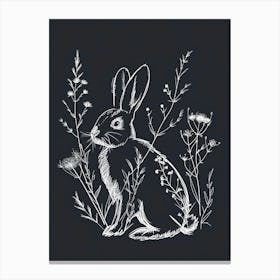 Dutch Rabbit Minimalist Illustration 1 Canvas Print