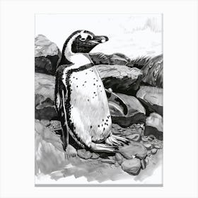 Emperor Penguin Sunbathing On Rocks 2 Canvas Print