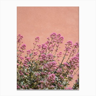 Provence Flowers Canvas Print