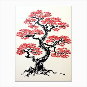 Bonsai Tree 3 Old Poster Canvas Print