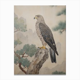 Vintage Hawk Drawing Canvas Print